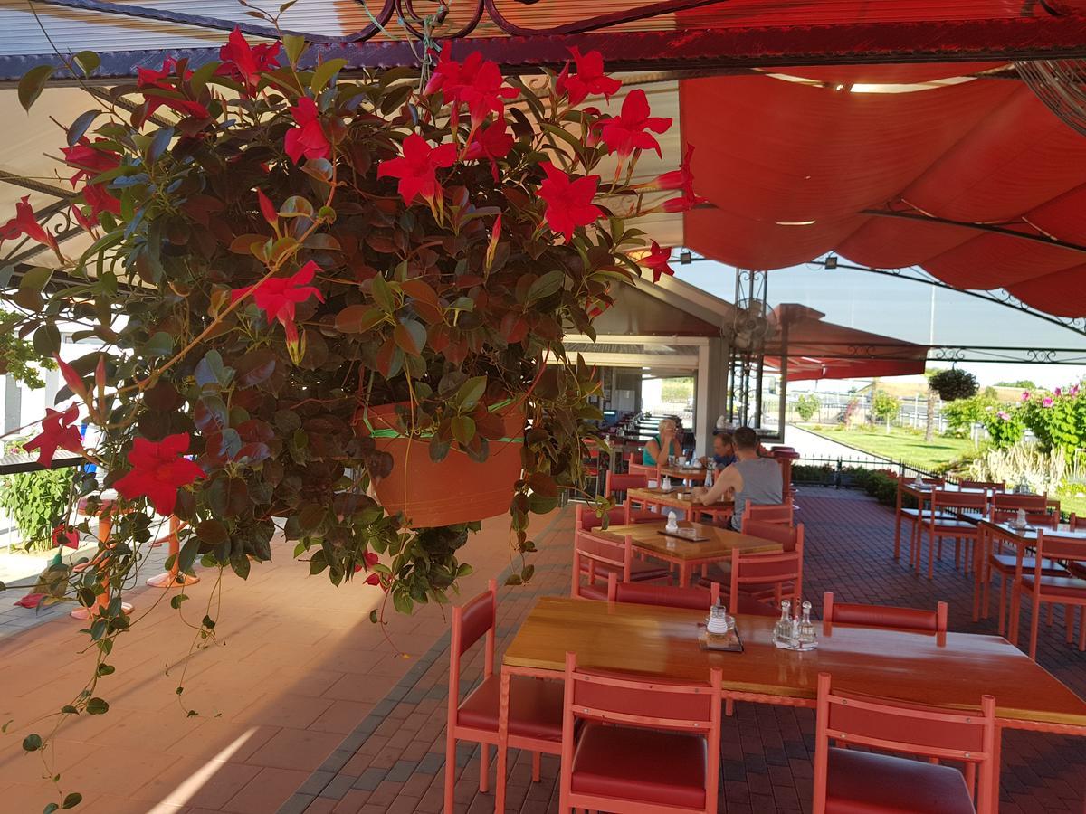Bed And Breakfast Turist Staro Petrovo Selo Exterior foto