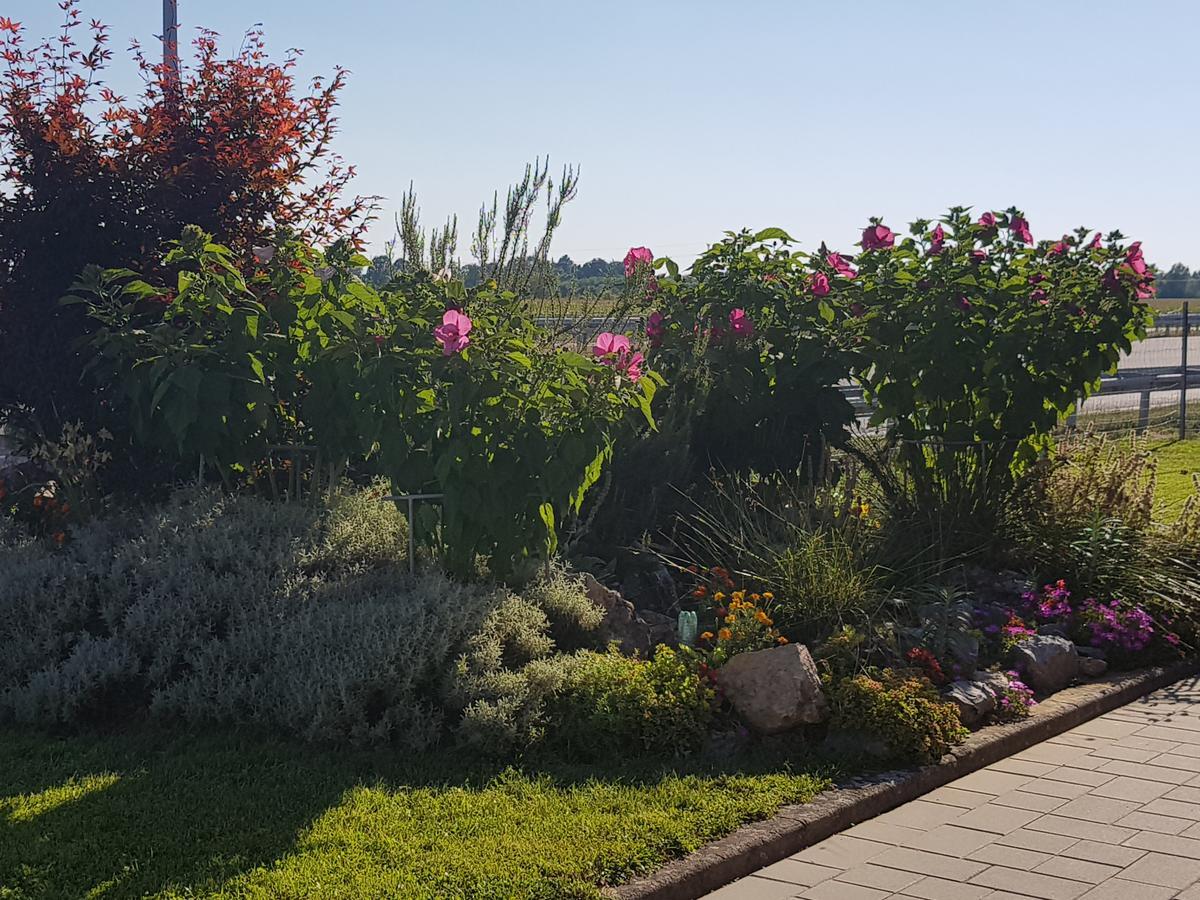 Bed And Breakfast Turist Staro Petrovo Selo Exterior foto